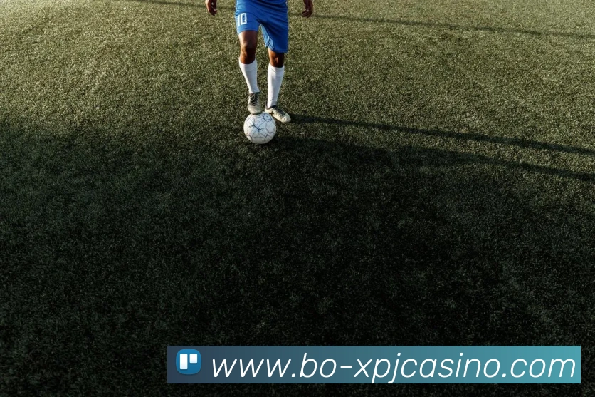 多媒体互动体验